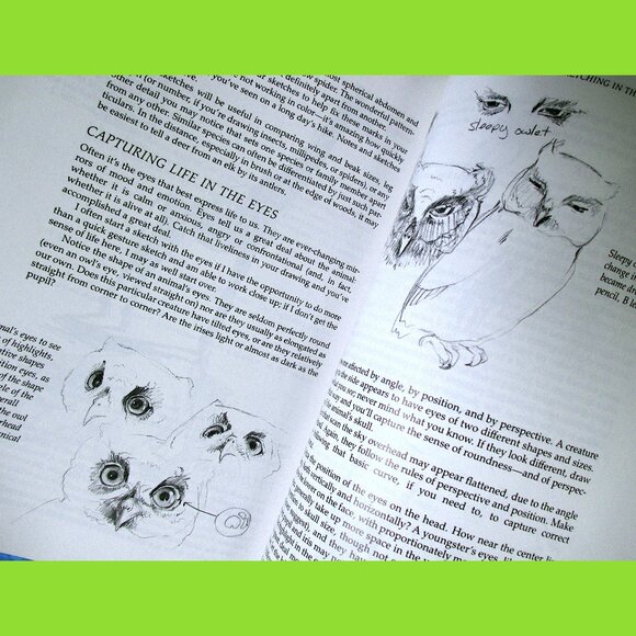 Book: The Sierra Club Guide to Sketching in Nature, by Cathy Johnson - Picture 9 of 16